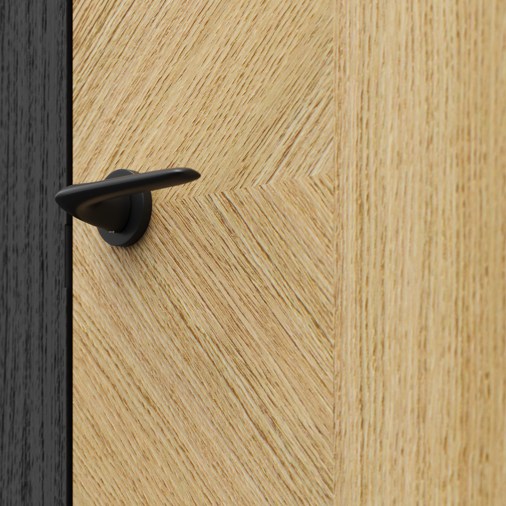Common Area Doors