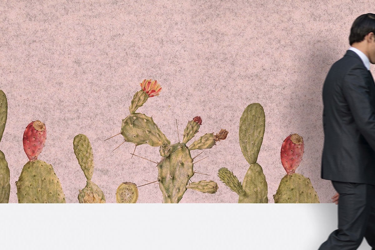 ECO&PETfelt