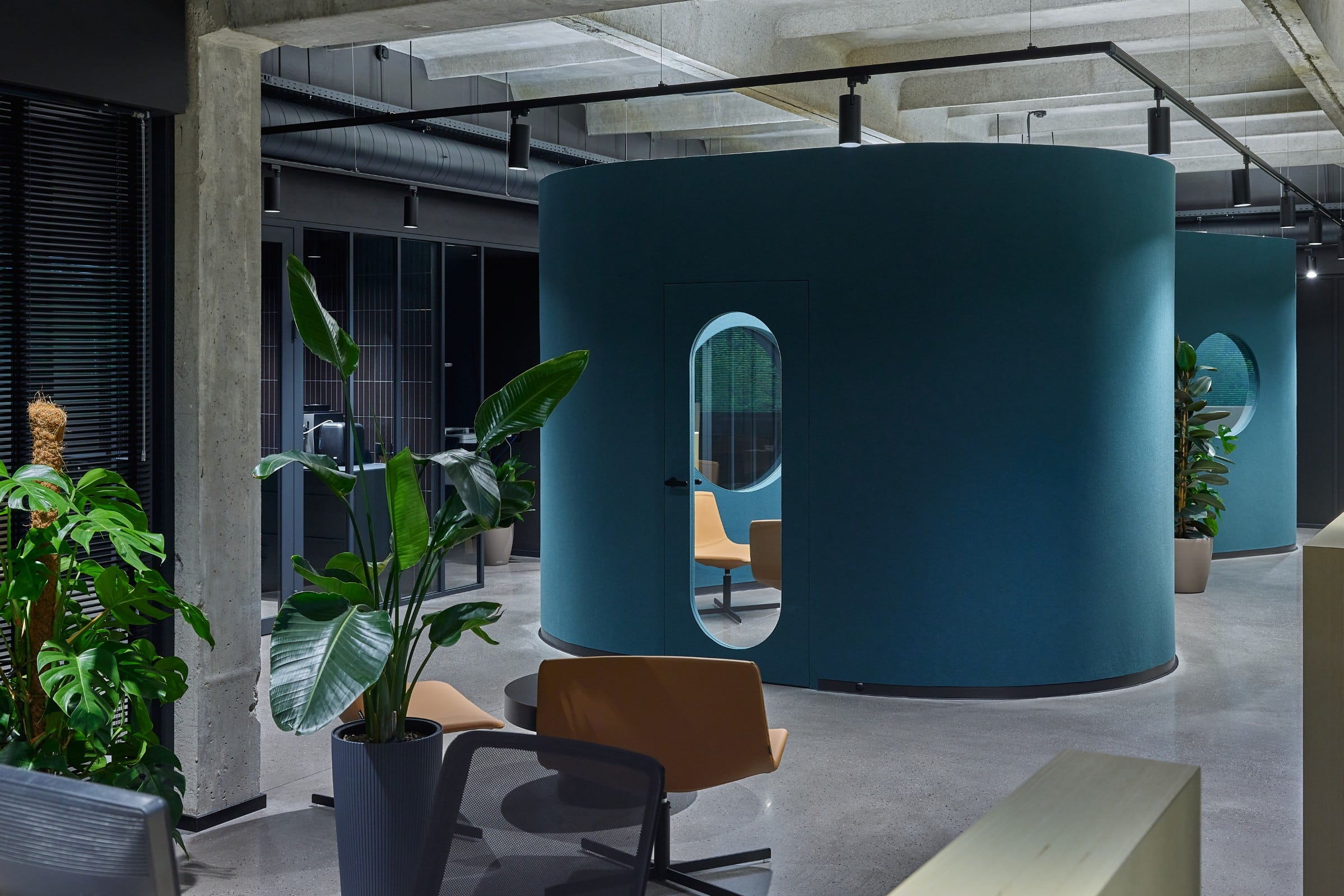 ECO&PETfelt