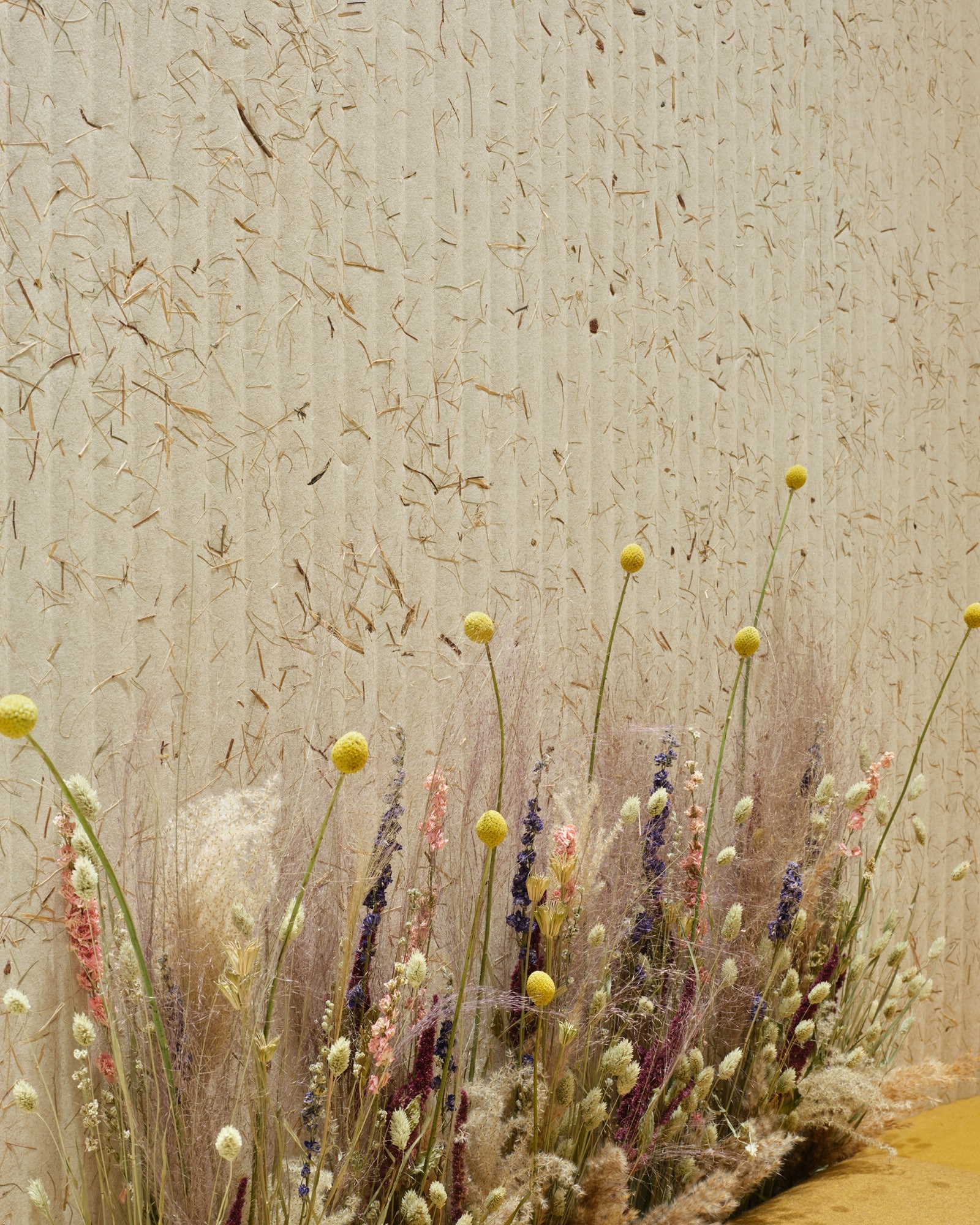 Grass