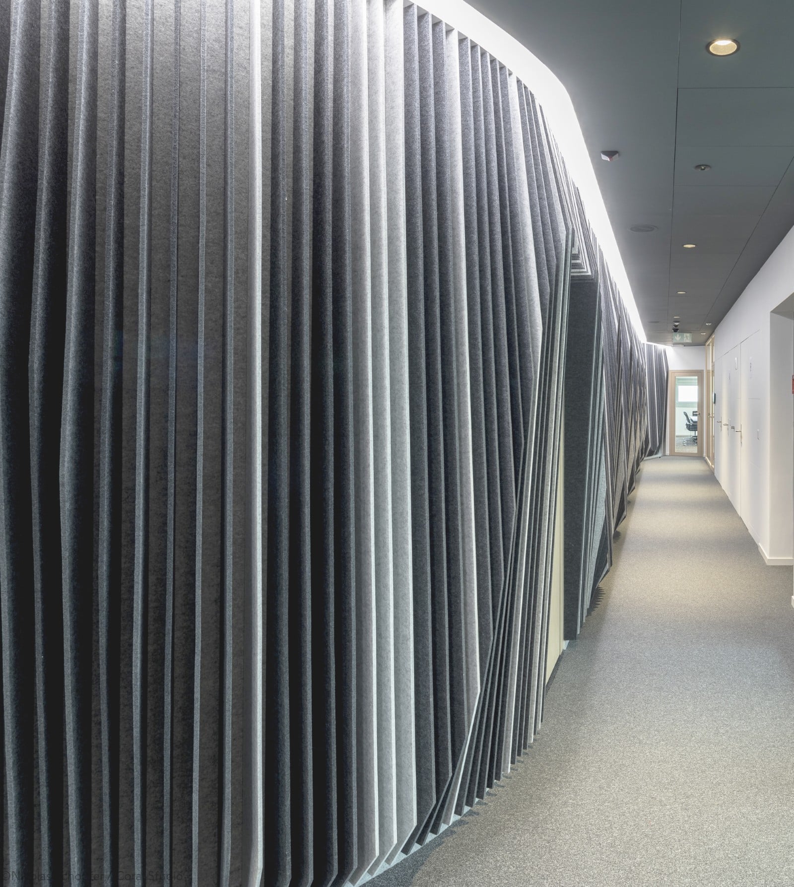 Lamellae