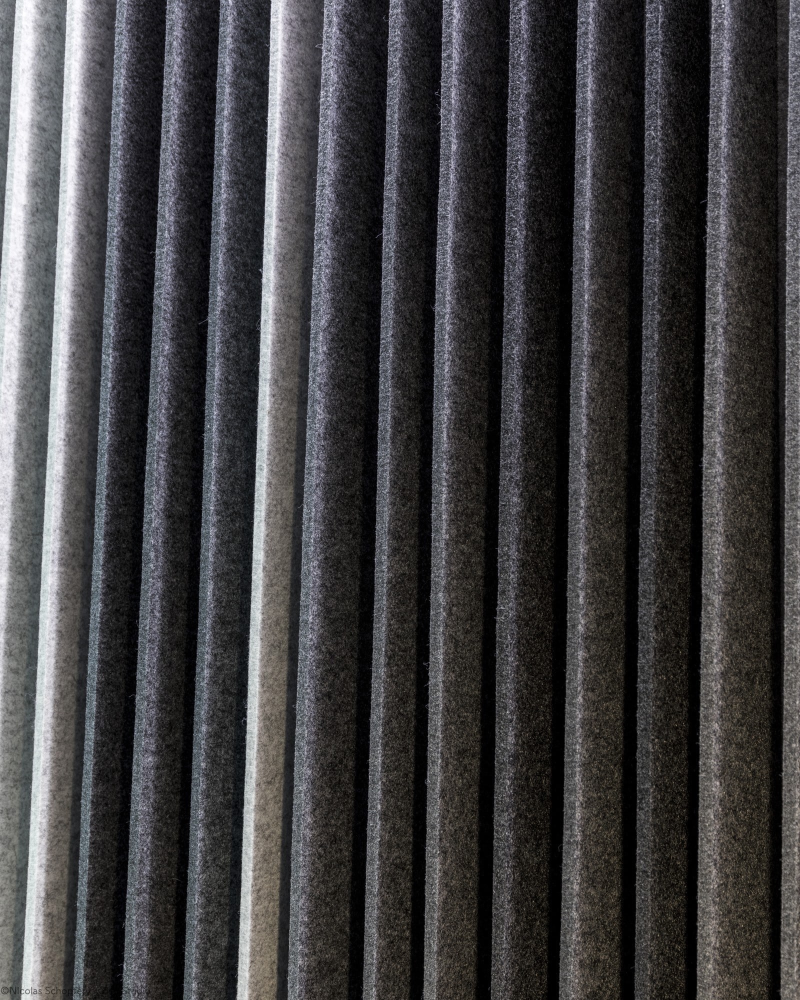Lamellae