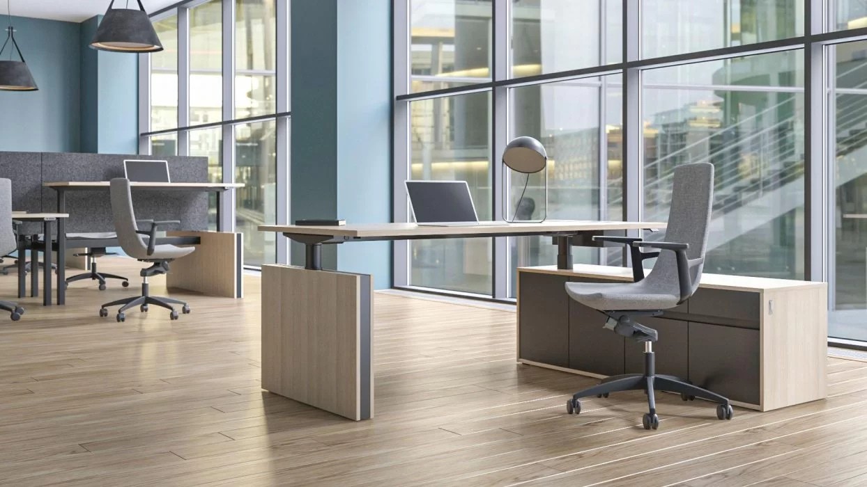 Motion Executive