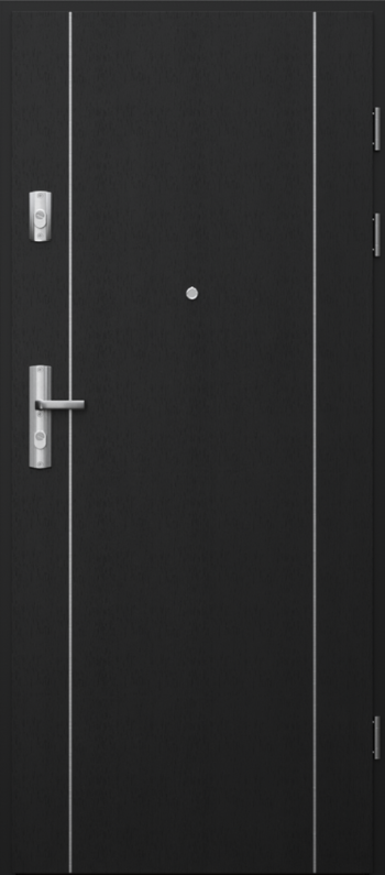 Security Doors