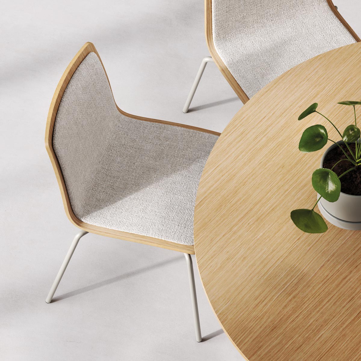 Yo Wood Chair