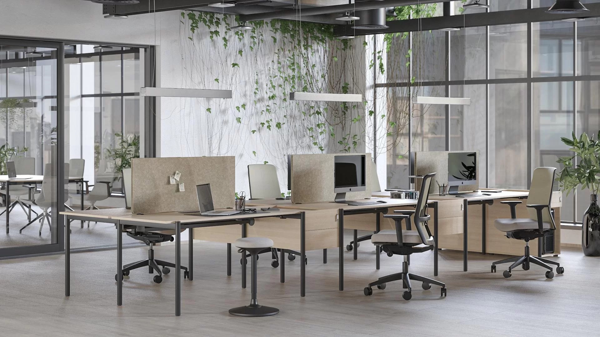 ZEDO Desk