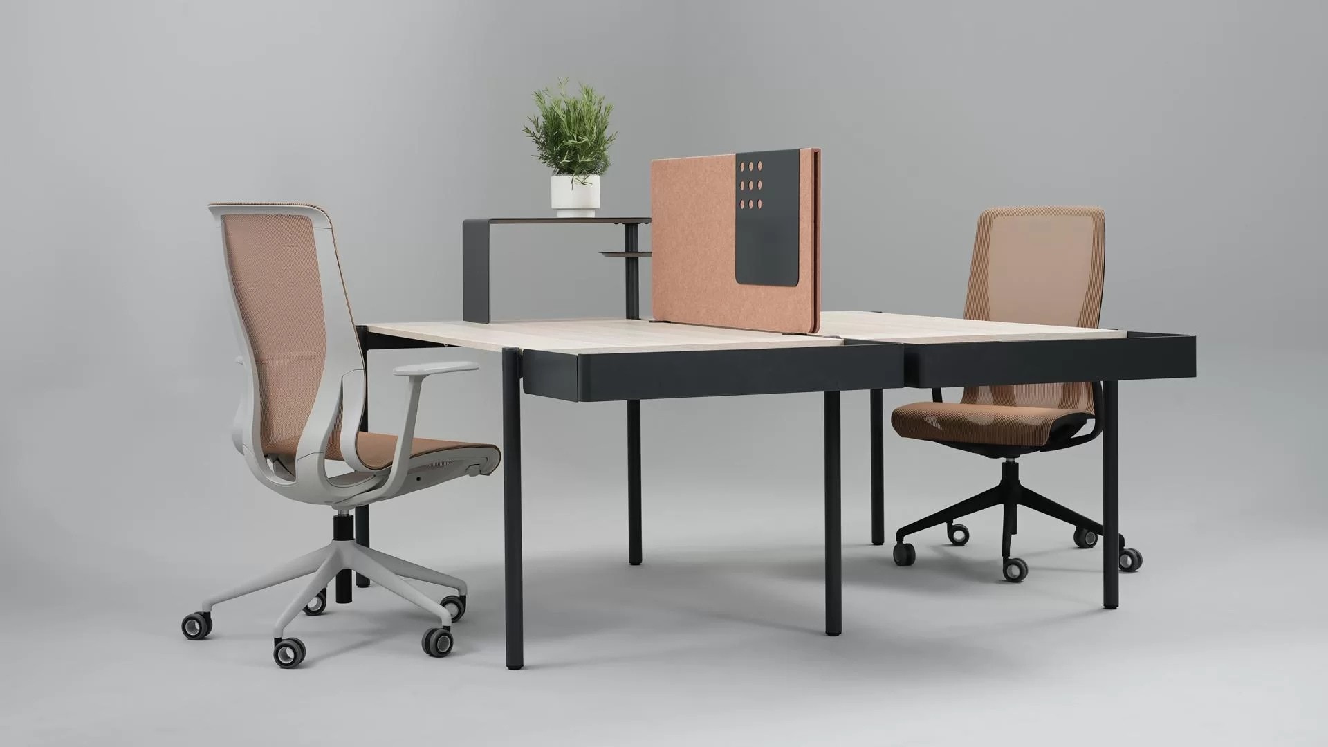ZEDO Desk