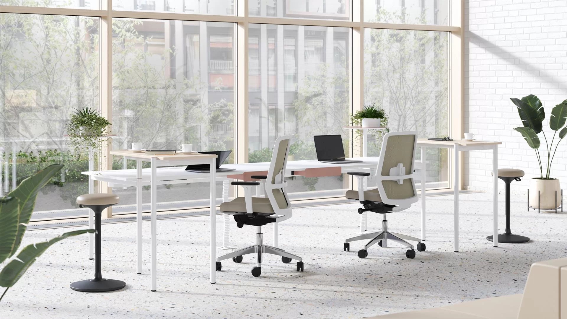 ZEDO Desk