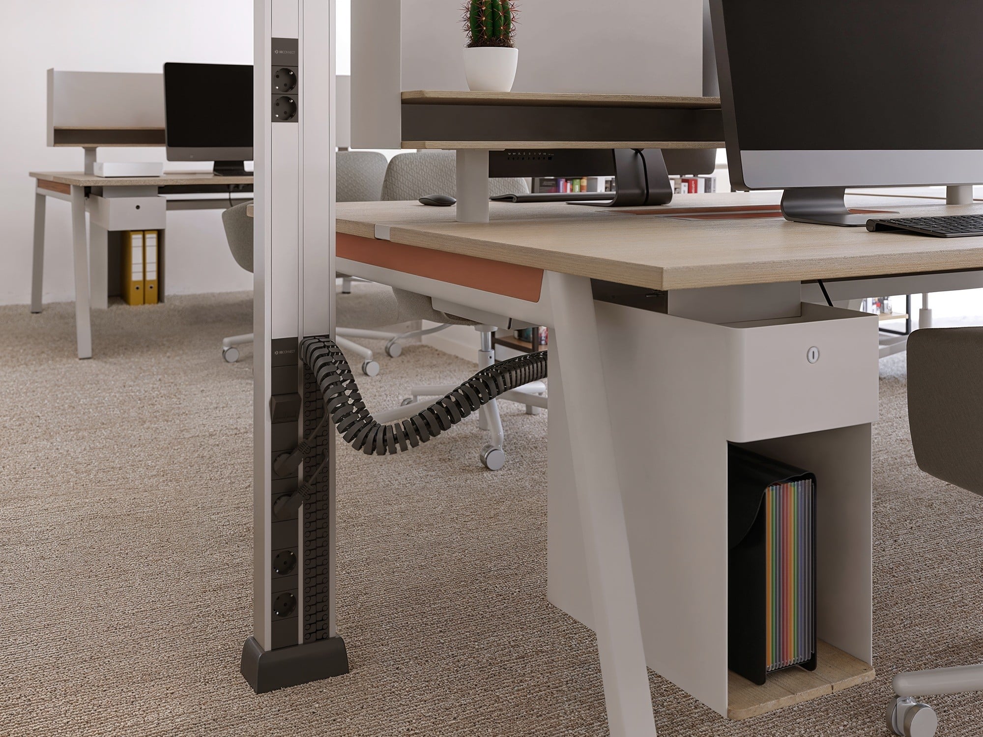Duplo Columna