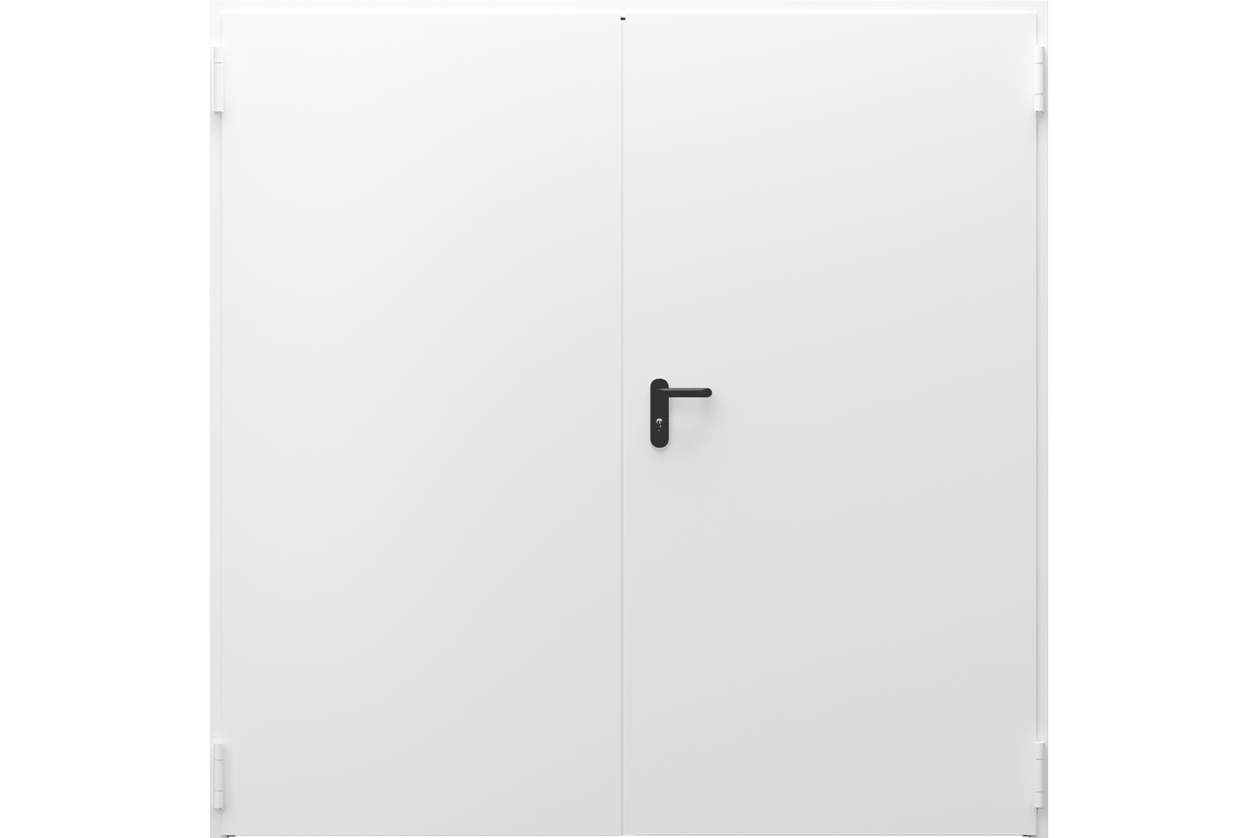 Common Area Doors